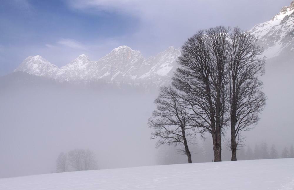 Bergfuehrerhaus Bed & Breakfast Ramsau am Dachstein Bagian luar foto