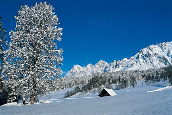 Bergfuehrerhaus Bed & Breakfast Ramsau am Dachstein Bagian luar foto
